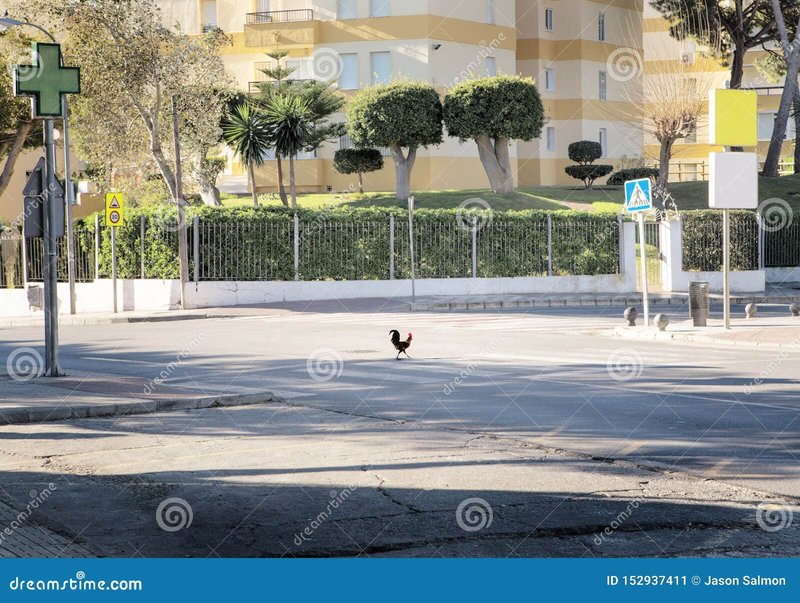 Descubre el secreto detrás del juego de la Ruta del Pollo en España, chicken road game Descubre el secreto detrás del juego de la Ruta del Pollo en España, chicken road game